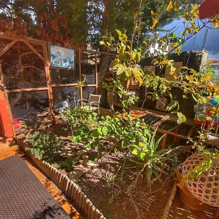 Kordelliya Apartment Chayofa المظهر الخارجي الصورة